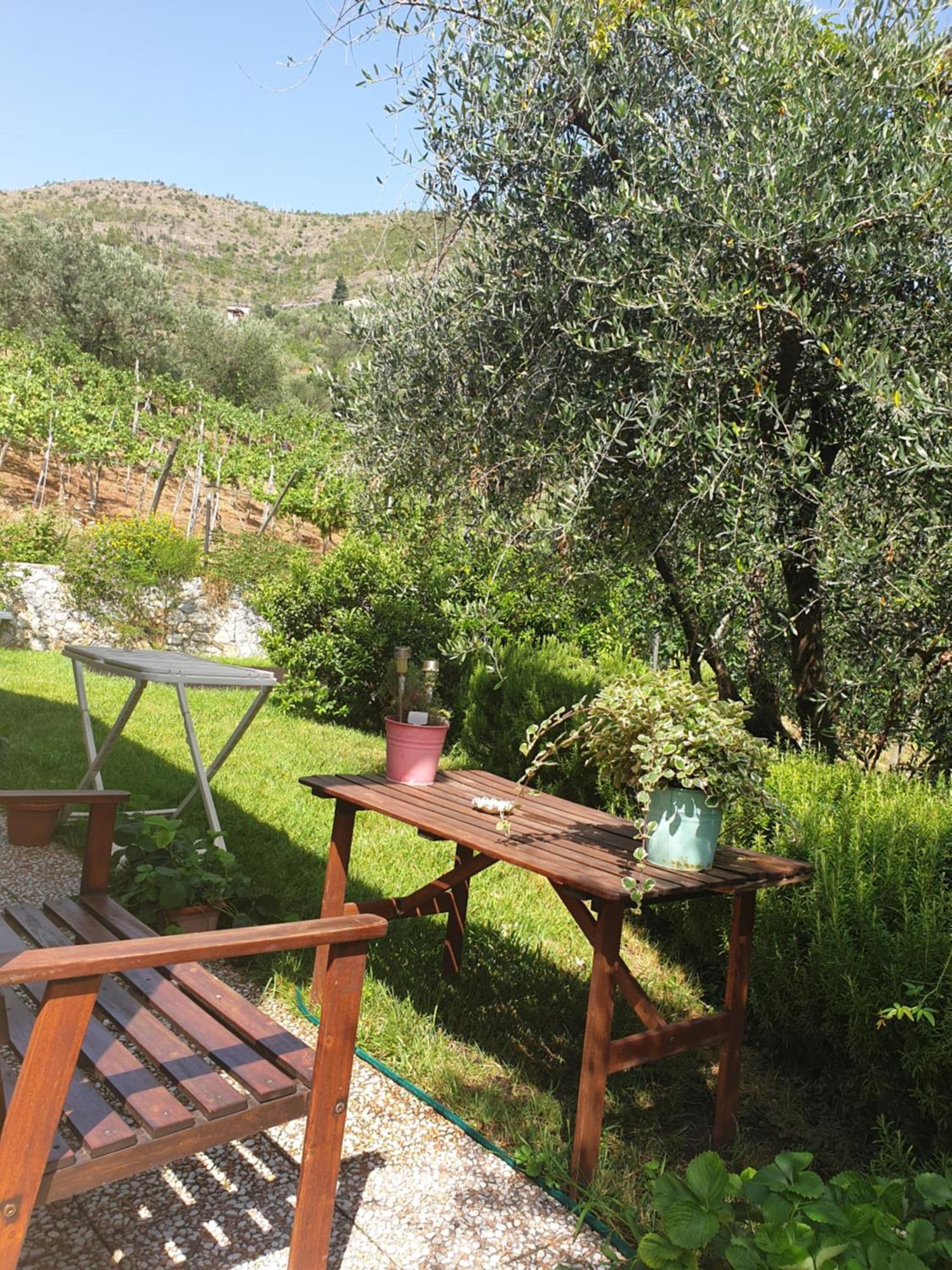 Agriturismo La Collina Verde Levanto Bagian luar foto